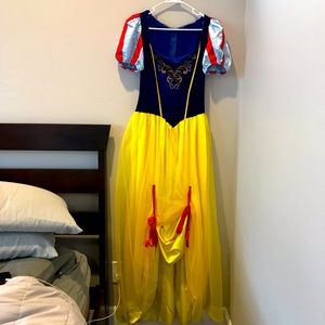 Snow White adult costume